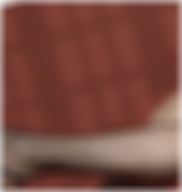 Bornheim Partnersuche Susan6505