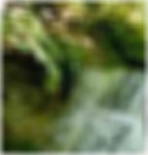 diskrete Sexkontakte Fellbach Otilia