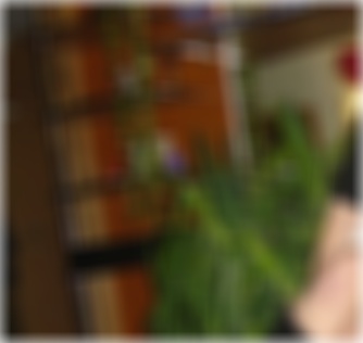 Dresden Sexdating Basilia