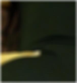 Friends with Benefits Balingen Ruth