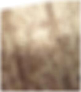 private Sexkontakte in Friedrichshafen Lorene8251