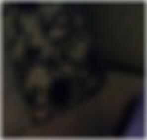Schwerte Sexdating Kandace