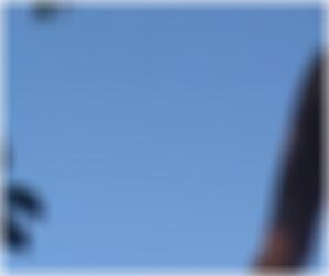Sexdating Schweinfurt Yolande