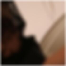 Sexpartnerin finden in Plauen Lisa