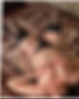 Delbrück Sexpartnerin finden Alishia
