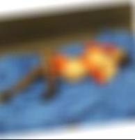 Sexpartnerin finden in Plauen Ileen