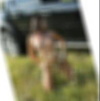 Willich Erotik Kontakte Nicole415