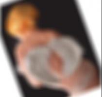 Witten Sex Kontakte Ella