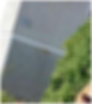 private Sexkontakte in Kaiserslautern Ronna3238